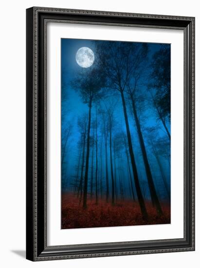 Dialogue with the moon-Philippe Sainte-Laudy-Framed Photographic Print