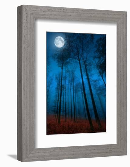 Dialogue with the moon-Philippe Sainte-Laudy-Framed Photographic Print