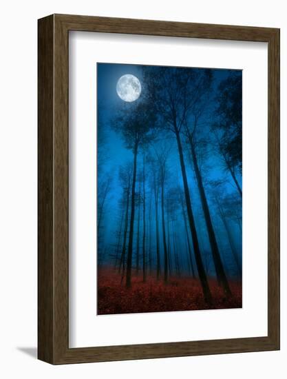 Dialogue with the moon-Philippe Sainte-Laudy-Framed Photographic Print