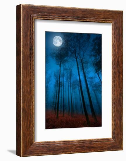 Dialogue with the moon-Philippe Sainte-Laudy-Framed Photographic Print