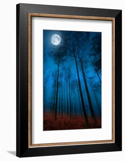 Dialogue with the moon-Philippe Sainte-Laudy-Framed Photographic Print