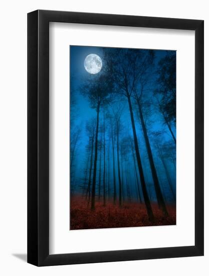 Dialogue with the moon-Philippe Sainte-Laudy-Framed Photographic Print