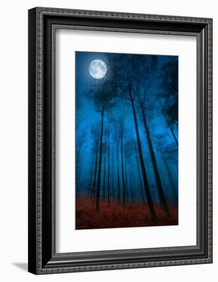 Dialogue with the moon-Philippe Sainte-Laudy-Framed Photographic Print