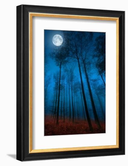 Dialogue with the moon-Philippe Sainte-Laudy-Framed Photographic Print