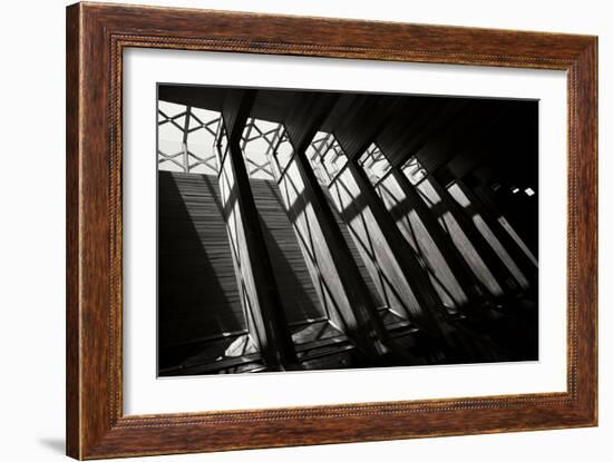 Diamond Ceiling II-Tammy Putman-Framed Photographic Print