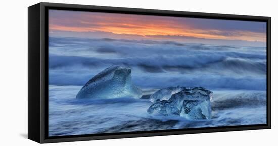 Diamond ice chards from calving icebergs on black sand beach, Jokulsarlon, south Iceland-Chuck Haney-Framed Premier Image Canvas