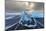 Diamond ice chards from calving icebergs on black sand beach, Jokulsarlon, south Iceland-Chuck Haney-Mounted Photographic Print