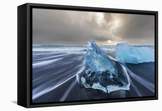 Diamond ice chards from calving icebergs on black sand beach, Jokulsarlon, south Iceland-Chuck Haney-Framed Premier Image Canvas