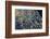 Diamond ice chards from calving icebergs on black sand beach, Jokulsarlon, south Iceland-Chuck Haney-Framed Photographic Print