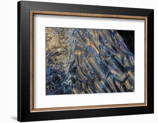 Diamond ice chards from calving icebergs on black sand beach, Jokulsarlon, south Iceland-Chuck Haney-Framed Photographic Print