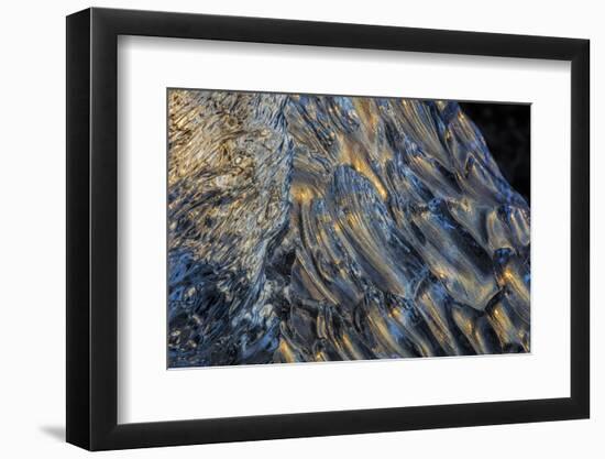 Diamond ice chards from calving icebergs on black sand beach, Jokulsarlon, south Iceland-Chuck Haney-Framed Photographic Print