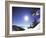 Diamond Peak, Nevada, USA-null-Framed Photographic Print