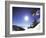 Diamond Peak, Nevada, USA-null-Framed Photographic Print