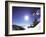 Diamond Peak, Nevada, USA-null-Framed Photographic Print