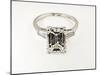Diamond Ring-null-Mounted Photographic Print