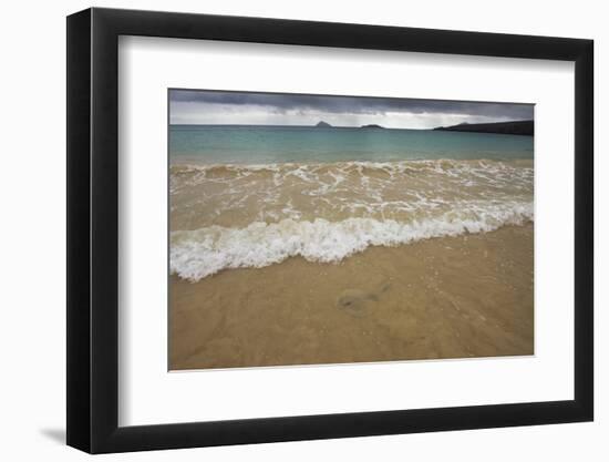 Diamond Stingray, Floreana Galapagos Islands, Ecuador-Pete Oxford-Framed Photographic Print