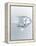 Diamond-Lawrence Lawry-Framed Premier Image Canvas