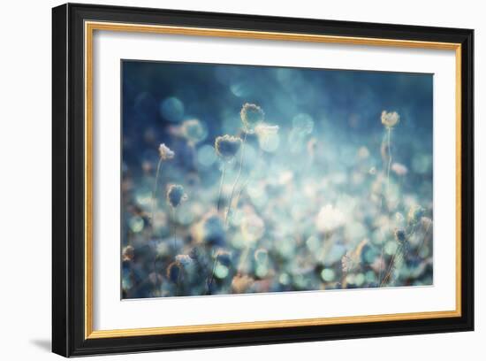 Diamonds-Stefan Eisele-Framed Art Print