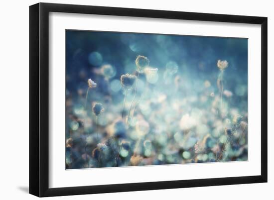 Diamonds-Stefan Eisele-Framed Art Print