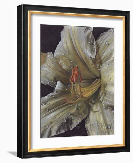 Diamonds-Barbara Keith-Framed Giclee Print