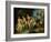 Diana and Actaeon, Ca 1604-Giuseppe Cesari-Framed Giclee Print