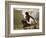 Diana Bathing-Jacques Fernand Hymbert-Framed Giclee Print