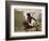 Diana Bathing-Jacques Fernand Hymbert-Framed Giclee Print