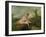 Diana Bathing-Jean Antoine Watteau-Framed Giclee Print