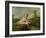 Diana Bathing-Jean Antoine Watteau-Framed Giclee Print