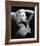 Diana Dors-null-Framed Photo