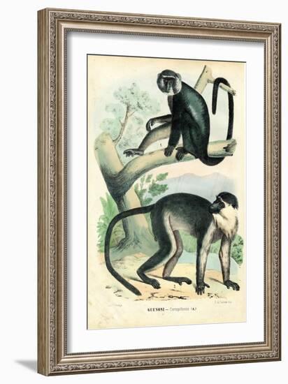 Diana Monkey, 1863-79-Raimundo Petraroja-Framed Giclee Print