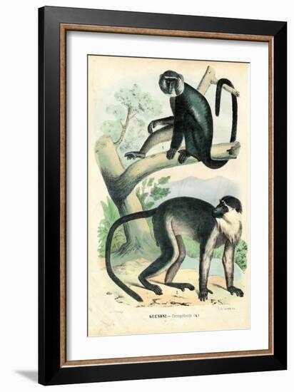 Diana Monkey, 1863-79-Raimundo Petraroja-Framed Giclee Print