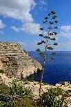 Blue Grotto Caves-Diana Mower-Photographic Print