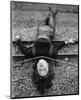 Diana Rigg-null-Mounted Photo