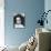 Diana Ross - Mahogany-null-Mounted Photo displayed on a wall