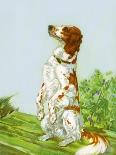 The Cocker Spaniel Sees a Butterfly-Diana Thorne-Art Print