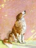 Irish Terrier Puppy-Diana Thorne-Framed Art Print