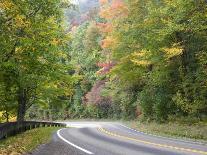 Appalachian Trail near Clingman's Dome, Great Smoky Mountains, Tennessee, USA-Diane Johnson-Photographic Print
