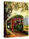 Stretched Canvas Print