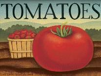 Tomatoes-Diane Pedersen-Premium Giclee Print