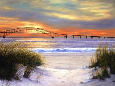 Diane Romanello Wall Art