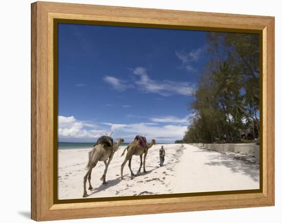 Diani Beach, Near Mombasa, Kenya, East Africa, Africa-Pitamitz Sergio-Framed Premier Image Canvas