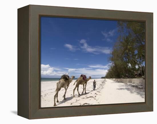 Diani Beach, Near Mombasa, Kenya, East Africa, Africa-Pitamitz Sergio-Framed Premier Image Canvas