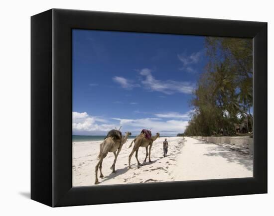 Diani Beach, Near Mombasa, Kenya, East Africa, Africa-Pitamitz Sergio-Framed Premier Image Canvas
