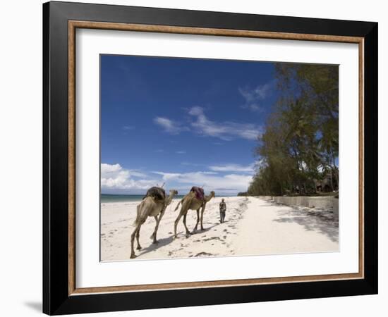 Diani Beach, Near Mombasa, Kenya, East Africa, Africa-Pitamitz Sergio-Framed Photographic Print