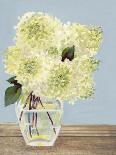 Hydrangea Vase I-Dianne Miller-Art Print