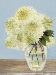 Hydrangea Vase I-Dianne Miller-Art Print