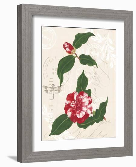 Dianne's Camellias I-Dianne Miller-Framed Art Print