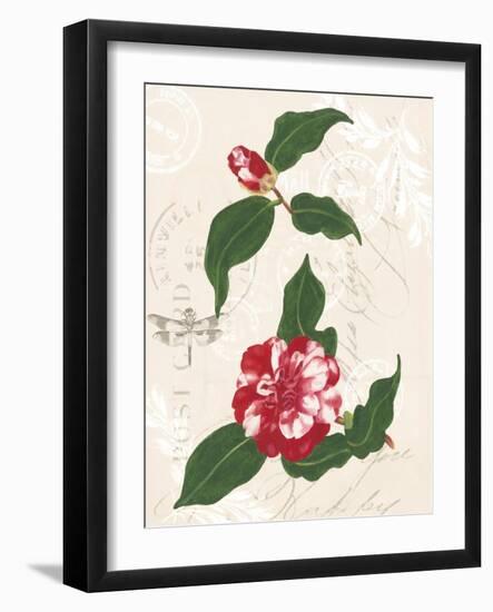 Dianne's Camellias I-Dianne Miller-Framed Art Print