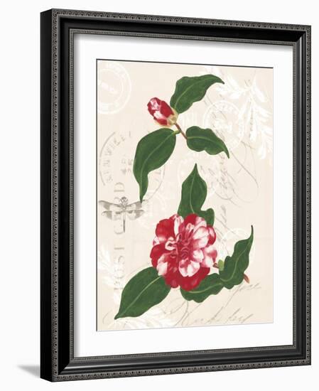 Dianne's Camellias I-Dianne Miller-Framed Art Print